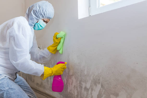 Mold Remediation for Rental Properties in Morningside, MD